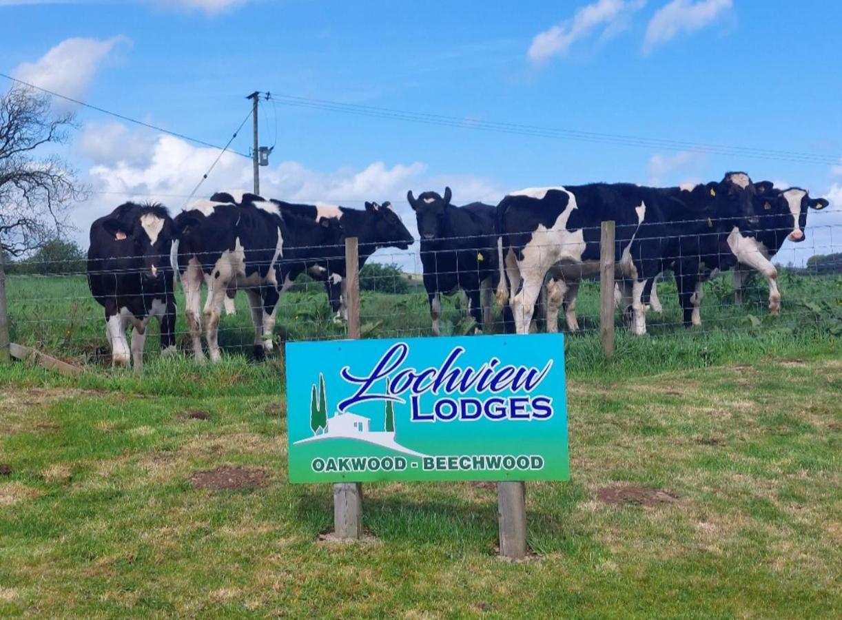 Beechwood Lochview Lodges Lochwinnoch Zewnętrze zdjęcie